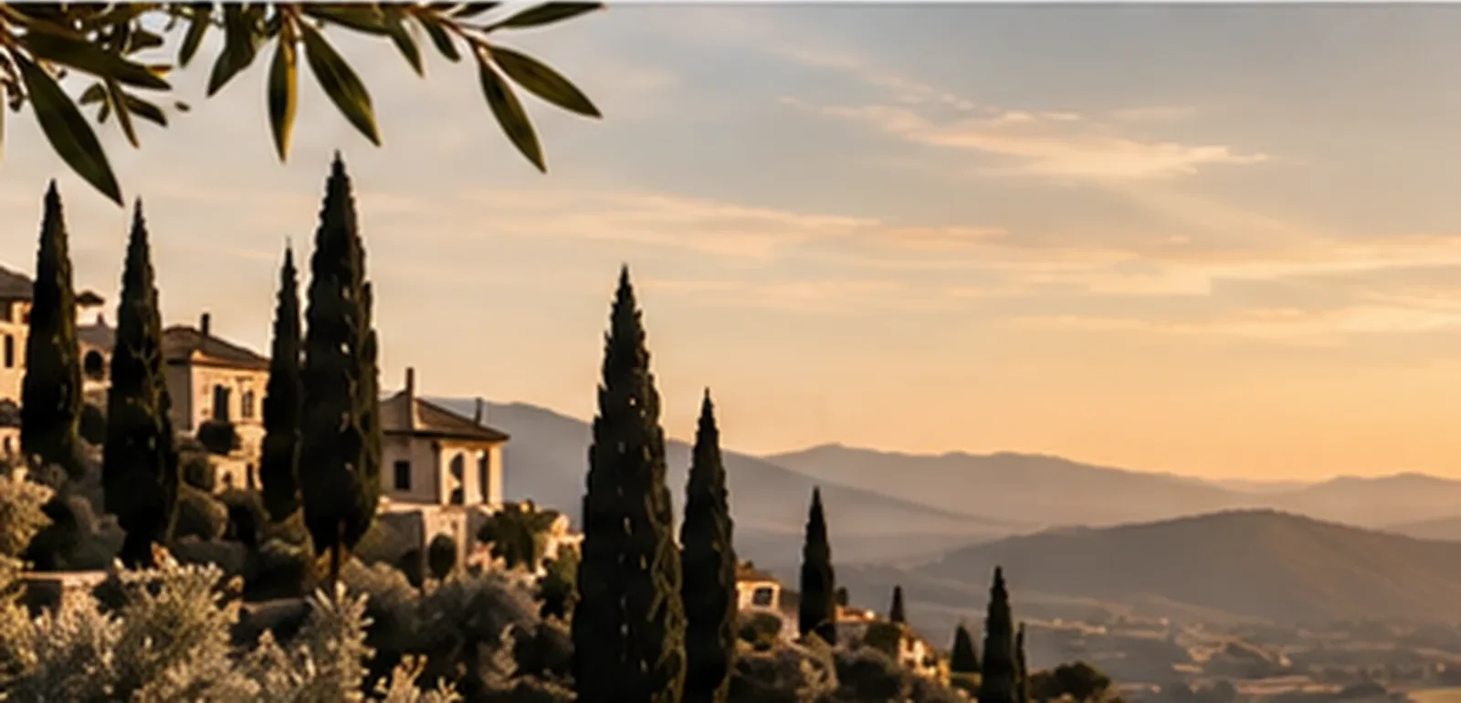 Cypress trees and olive branches above a Mediterranean hillside at golden hour